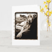 De Natie van Weimaraner: De "stoel van Ballou " Kaart (Gele Bloem)