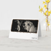 De Natie van Weimaraner: "Nadenkend staart " Kaart (Gele Bloem)