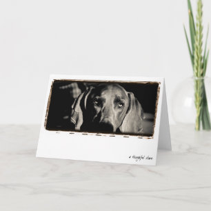 De Natie van Weimaraner: "Nadenkend staart " Kaart