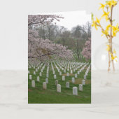 De Nationale Begraafplaats van Arlington Kaart (Gele Bloem)