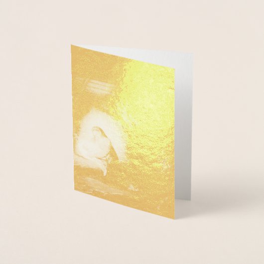 De nationaliteit van Christus (door Vladimir Borov Folie Kaarten (Voorkant)