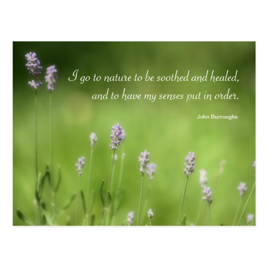 De natuur heelt de Fotografie &amp; het Citaat van de