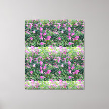   De natuur is mooi kleurrijke bloem opgespannen c