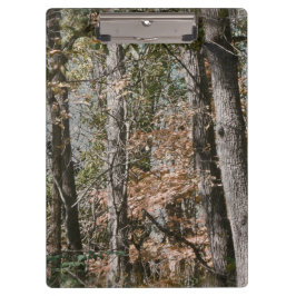 De Natuur van de bosboomCamouflage jacht/Vist Klembord