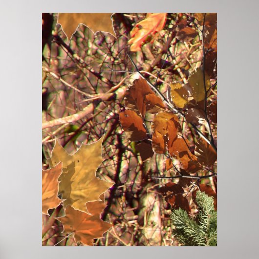De Natuur van de Herfst van Hunter Camouflage schi Poster (Voorkant)