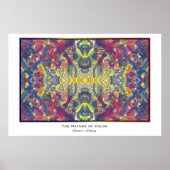 De Natuur van de Kleur Poster (Voorkant)