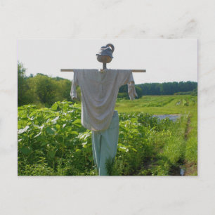 De Natuur van de Vogelverschrikker van de Tuin van Briefkaart