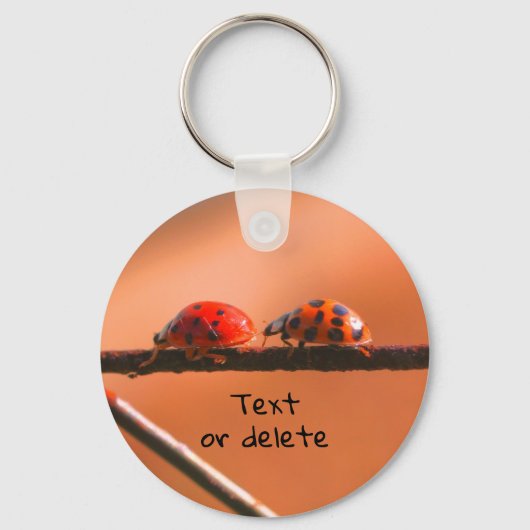 De Natuur van Ladybug Buddies wordt gepersonalisee Sleutelhanger (Voorkant)
