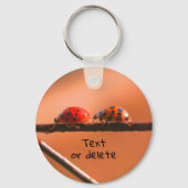 De Natuur van Ladybug Buddies wordt gepersonalisee Sleutelhanger (Achterkant)