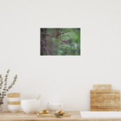 De Natuur van Paintball Poster (Keuken)