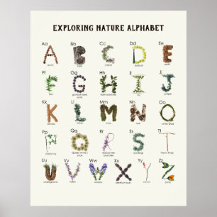 De Natuur Verkennen Alfabet   Bos ABC Peuterschool Poster
