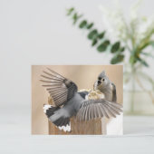 De Natuurlijke Ballet: Een Dans van Veren Briefkaart (Staand voorkant)