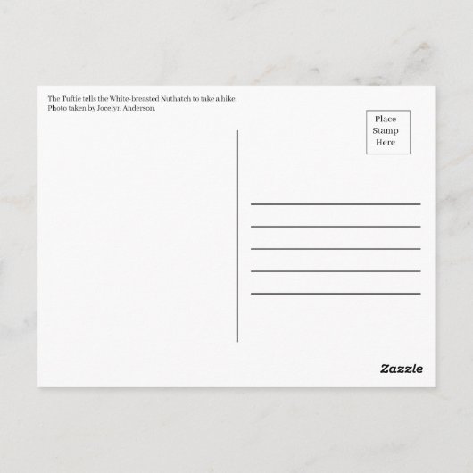 De Natuurlijke Ballet: Een Dans van Veren Briefkaart (Achterkant)