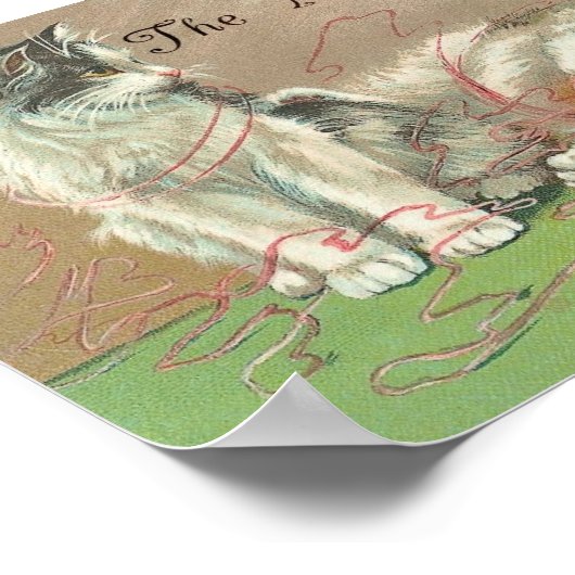 De Naughty Kittens stapte in het Yarn Poster (Hoek)