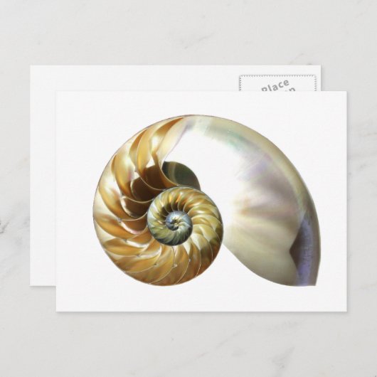 De Nautilus Shell Briefkaart (Voorkant / Achterkant)