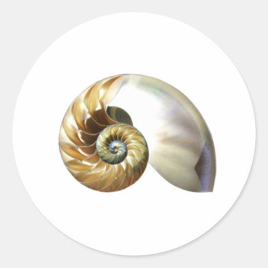De Nautilus Shell Ronde Sticker (Voorkant)