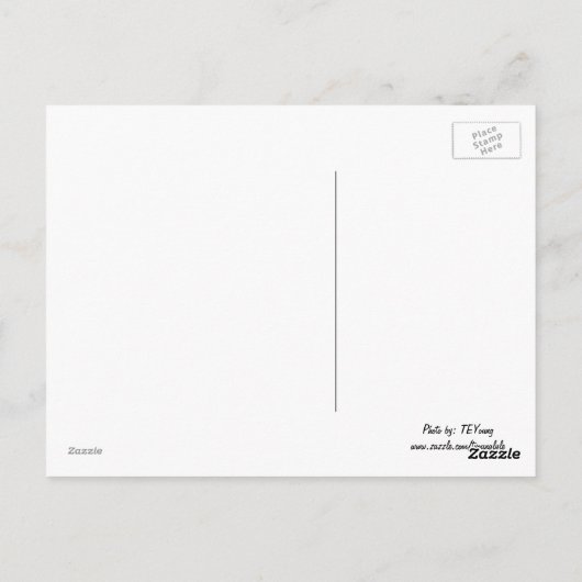 De Nauwe vallei van Watkins, NY Briefkaart (Achterkant)