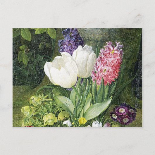 De Nederlandse Bloemen van de Lente van de Bol Briefkaart (Voorkant)