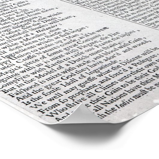 De Nederlandse Boare ontleed Poster (Hoek)