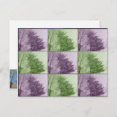 de negen noordpoort briefkaart (Voorkant / Achterkant)