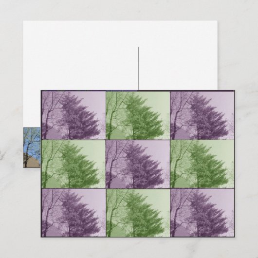 de negen noordpoort briefkaart (Voorkant / Achterkant)