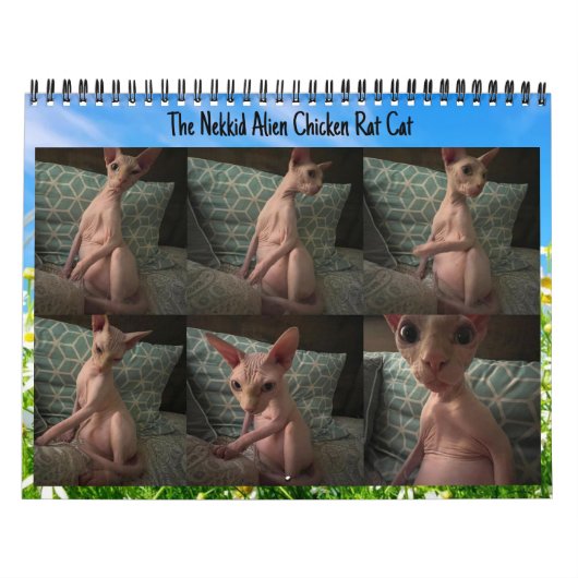 De Nekkid Alien Kalender 2024 (Hoes)