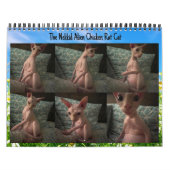 De Nekkid Alien Kalender 2024 (Hoes)