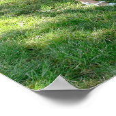 De Nelsons Poster (Hoek)