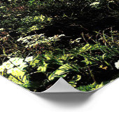 De Nest van de Eagle Poster (Hoek)