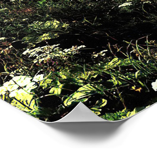 De Nest van de Eagle Poster (Hoek)