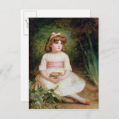 De nesten briefkaart (Voorkant / Achterkant)