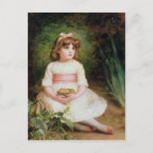 De nesten briefkaart (Voorkant)