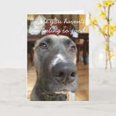 De Neus van de hond wordt goed Kaart (Gele Bloem)