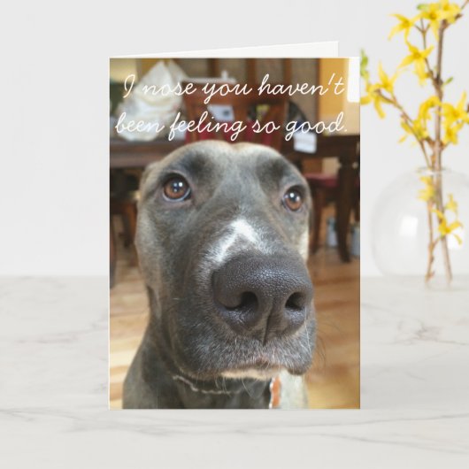 De Neus van de hond wordt goed Kaart (Gele Bloem)