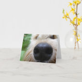 De neus weet het! kaart (Gele Bloem)