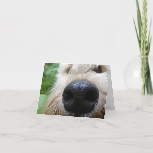 De neus weet het! kaart (Voorkant)