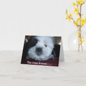 De neus weet...... kaart (Gele Bloem)