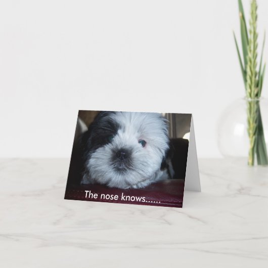 De neus weet...... kaart (Voorkant)