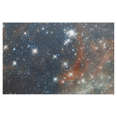 De nevel van de Tarantula Stof (Fat Quarter)