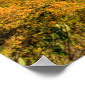 De New River Gorge in Hawks Nest State Park Poster (Hoek)