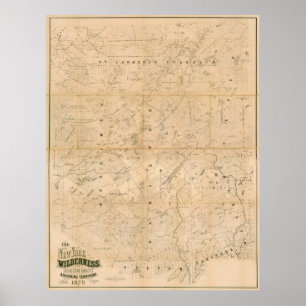 De New York Wilderness. 1879 Kaart. Poster