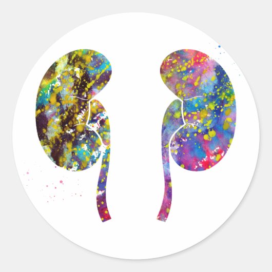 De nieren anatomie ronde sticker (Voorkant)