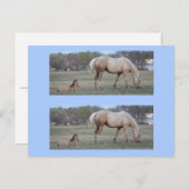 De nieuwe bookmarkers briefkaart (Voorkant / Achterkant)