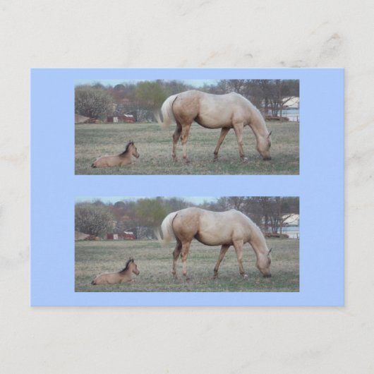 De nieuwe bookmarkers briefkaart (Voorkant)