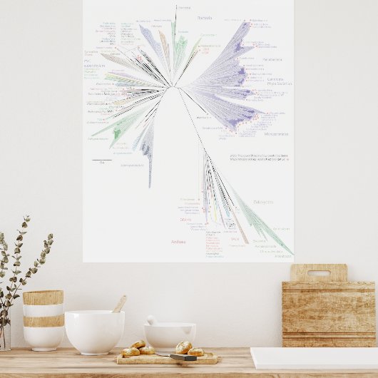 De nieuwe boom van het Poster van het Leven (GROTE (Keuken)