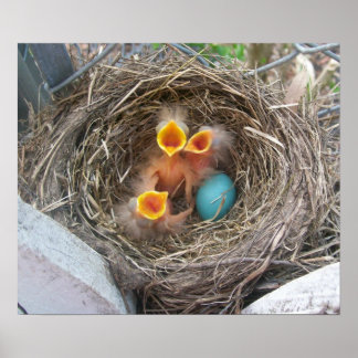 De nieuwe geboorte van de lente poster