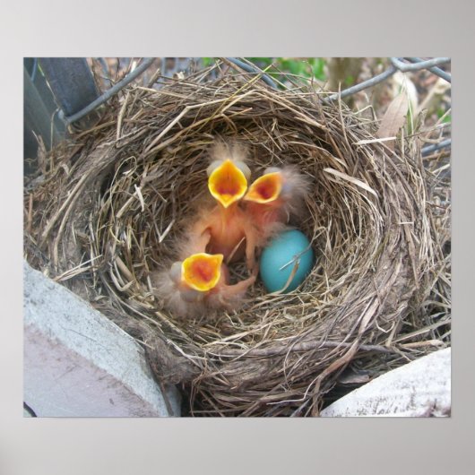 De nieuwe geboorte van de lente poster (Voorkant)