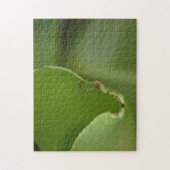 De nieuwe groene bananenbladkleurfoto opheffen legpuzzel (Verticaal)