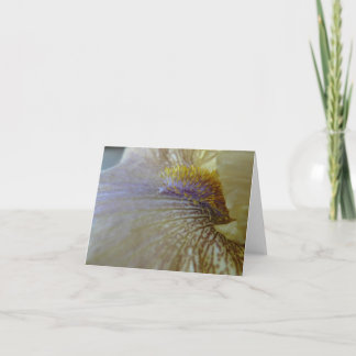 De nieuwe Iris 'Ecru van Notecard- van de Tuinen Kaart
