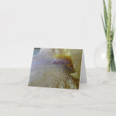 De nieuwe Iris 'Ecru van Notecard- van de Tuinen Kaart (Voorkant)